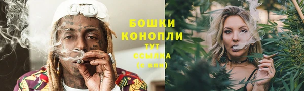 сатива Армянск