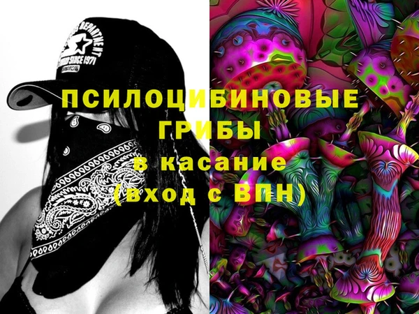 сатива Армянск