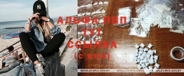 сатива Армянск