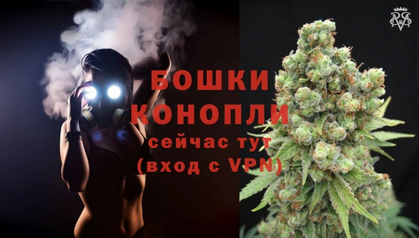 apvp Аркадак